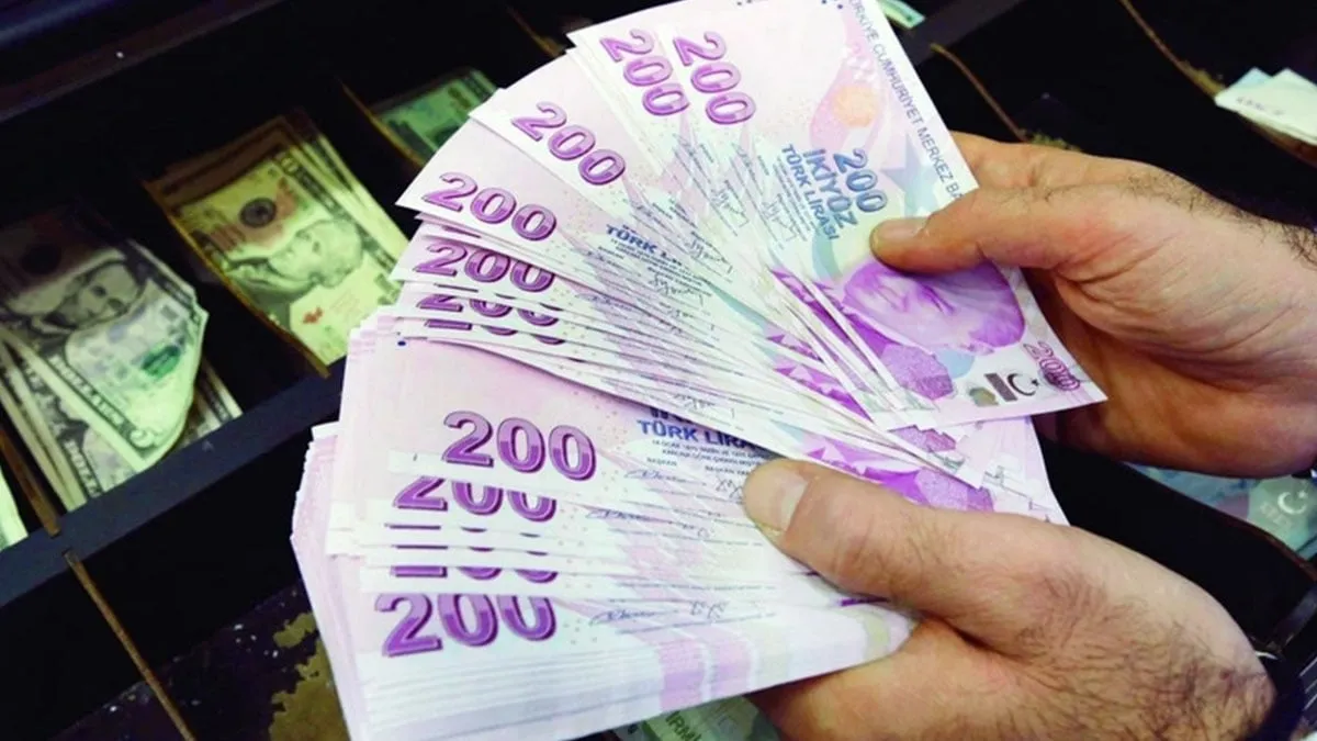 Karadeniz Dış Ticaret | HTM ve MÜHLEN Ofis Makineleri | Mühlen Para Sayma Makinesi Kullanımı: İpuçları ve Tavsiyeler